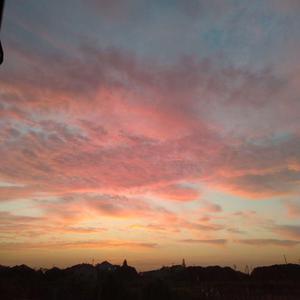 欧美老女人性爱视频
