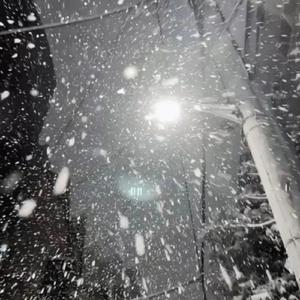 欧美老女人性爱视频
