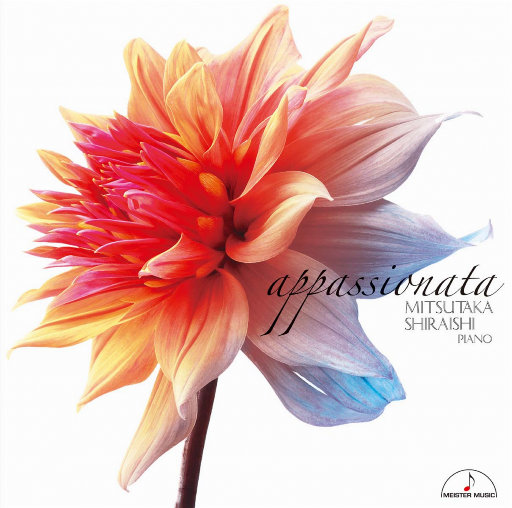 欧美老女人性爱视频
