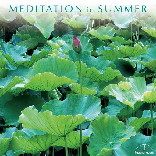 欧美老女人性爱视频
